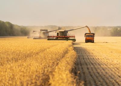 Asociatyvi nuotr. Canva nuotr.