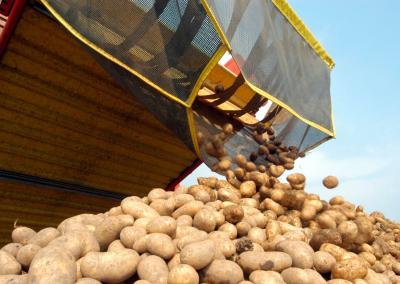 Asociatyvi nuotr. Canva nuotr.