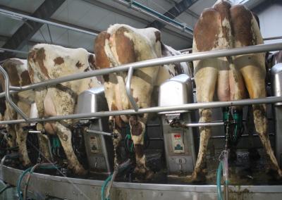 Asociatyvi nuotr. Gedimino Stanišausko nuotr.