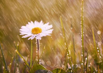 Asociatyvi nuotr. Canva nuotr.