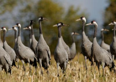 Asociatyvi nuotr. Canva nuotr.