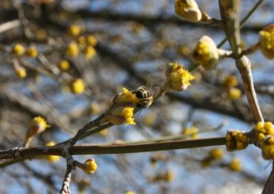 Asociatyvi nuotr. Canva nuotr.