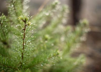 Asociatyvi nuotr. Canva nuotr.