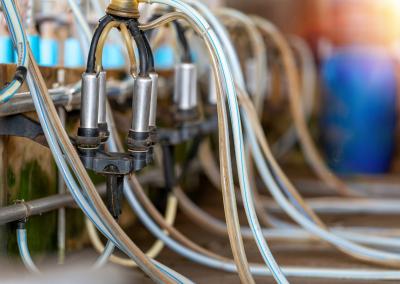 Asociatyvi nuotr. Canva nuotr.