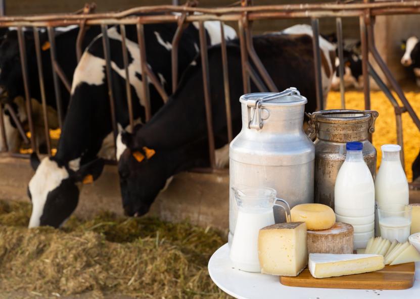 Asociatyvi nuotr. Canva nuotr. 