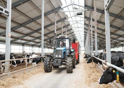 Asociatyvi nuotr. Canva nuotr.