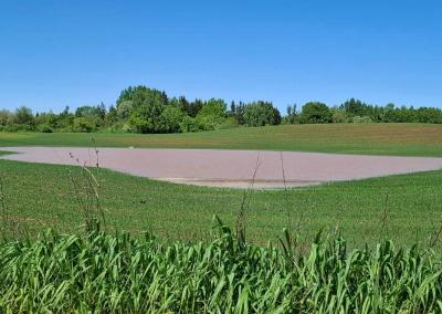 Žemės ūkio rūmų nuotr.