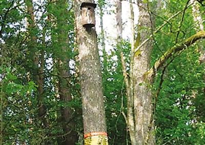 Dzūkų žinių nuotr.