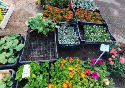 Asociatyvi nuotr. Dzūkų žinios nuotr.