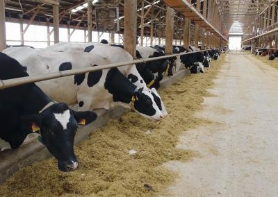 Asociatyvi nuotr. Gedimino Stanišausko nuotr.