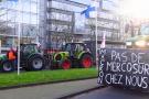 Protesto akimirka Briuselyje.