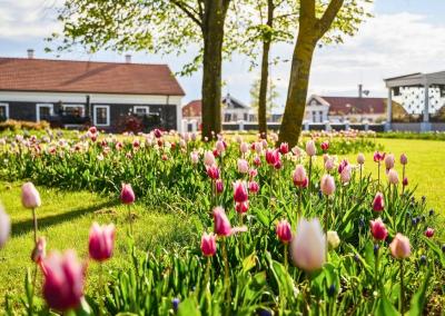 Asociatyvi nuotr. Pakruojo dvaro nuotr.