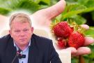 A. Palionio vadovaujama Žemės ūkio ministerija giriasi apie nuostolių kompensavimą, bet, pasak ūkininkų, gaunamos išmokos realiai nepadengia nė vienos sąskaitos.