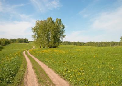 NŽT nuotr.